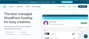 Flywheel: The Best Managed WordPress Hosting for Your Business